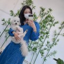 성촌클리닉 | 우면동미용실,서초미용실) 이제 날씨가 서늘해지고 있어요 🍂