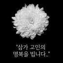 과학벨트공인중개사사무소 이미지