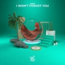 음악이야기/I won't forget you 이미지