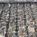 합하농장 이미지