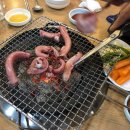 못말리는꼼장어 이미지