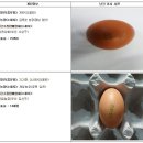 김옥순 농장 이미지