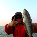 안면119안전센터 이미지