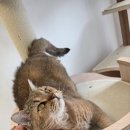 루루호텔 이미지