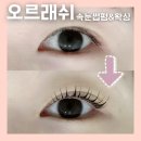 [청주속눈썹펌]오르래쉬 속눈썹펌 앤 왁싱 가경동 블랙틴팅펌 후기