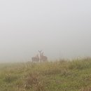 굴업농장 이미지