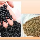 한샘한의원 이미지