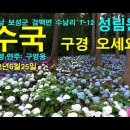 수국 구경 오세요 - 전남 보성 성림원 이미지