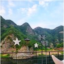 충북 영동 가볼만한곳 월류봉 광장 주차장부터 절경까지 후기