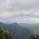 26.7,26 안내 산행 공지 울산 (가지산1241m) 이미지
