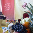 오도가든 이미지