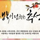 최원화벨레사 네이버블로그