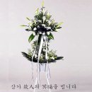 최*진 이미지