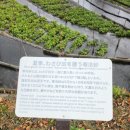 대왕농장1 이미지