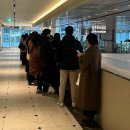 (주)티와이 | 아이 리쥬란', 새해빔으로 토템 재킷 구매, 경도 후기, 조앤도슨 광화문, 해방촌 티와이엠엠, 천안 사카