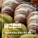 피그먼츠 이미지