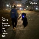 le puppy | 블로그, (260323-260329)