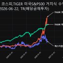 에스티팜 주식회사