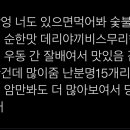 서울러 이미지