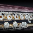 플룻 (B)? 이미지