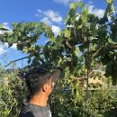 큰사랑어린이집 이미지