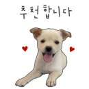 일광과자점 이미지