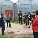 안흥농장 이미지