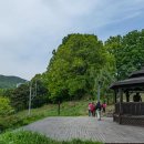 초막골생태공원 이미지