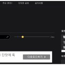 다운체 이미지