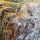 로또문어숙회 이미지