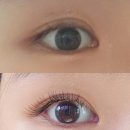 리뷰티제 | 양주 덕계속눈썹 리뷰티제에서 속눈썹 유목민 정착 솔직 후기