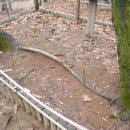 사랑의연리근 이미지