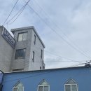 솔리토(SOLITO) 이미지