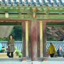 비취 이미지