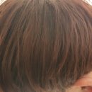 경풍기획 | 자연유래샴푸 "제니하우스 리벡샴푸"