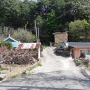 삼화1리 이미지