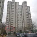 다나성모소아청소년과의원 이미지