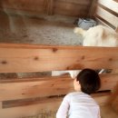 성윤농원 이미지