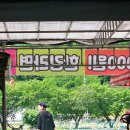 날으는자전거 | 원주 가볼만한곳 | 아이랑 자전거 타고 벚꽃 로드 달린 날 — 금대리 날으는자전거