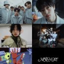 비트 이미지