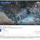 신도조경