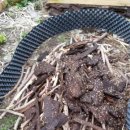 개구리집 이미지