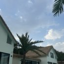 하이바이풀빌라리조트 이미지