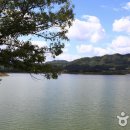 에이피이씨주