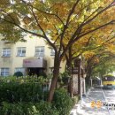 해림유치원 이미지