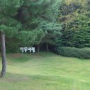 마니커식당 | 티클라우드 CC 컨트리클럽 라운딩 후기 해밀 비체 코스 계백담 마니커