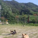 유곡마을 회관앞 이미지