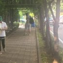 폼나"개" | 불미스럽다