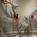 Hostel Vene(호스텔 베네) 이미지