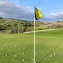 버디골프스쿨 이미지